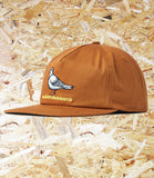 Anti Hero, Lil Pigeon, Cap, Medium, Brown, Yellow, Level Skateboards, Brighton, Local Skate Shop, Independent, Skater owned and run, south coast, Level Skate Park.