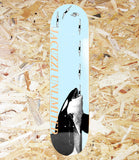Jacuzzi, Unlimited, Jake Yanko, High Dive, EX7, Deck, 8.25, Level Skateboards, Brighton, Local Skate Shop, Independent, Skater owned and run, south coast, Level Skate Park.