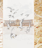 Skateboard Cafe, Lloyds, Deck, White, 8.7, Level Skateboards, Brighton, Local Skate Shop, Independent, Skater owned and run, south coast, Level Skate Park.