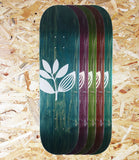 Magenta Big Plant Team Wood Deck
