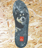 éS, TJ Rogers, skate shoes, Black,White,  Blue, Level Skateboards, Brighton, Local Skate Shop, Independent, Skater owned and run, south coast, Level Skate Park.